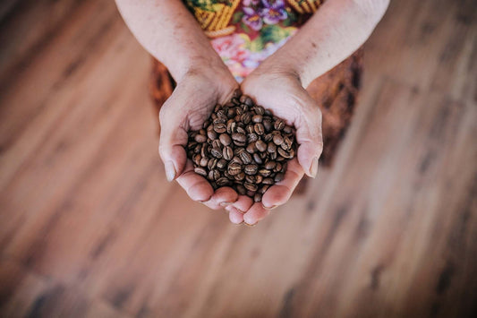 roasted coffee beans